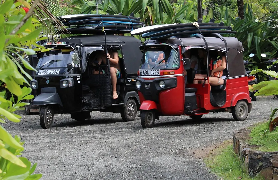 Villa Mangrove-1