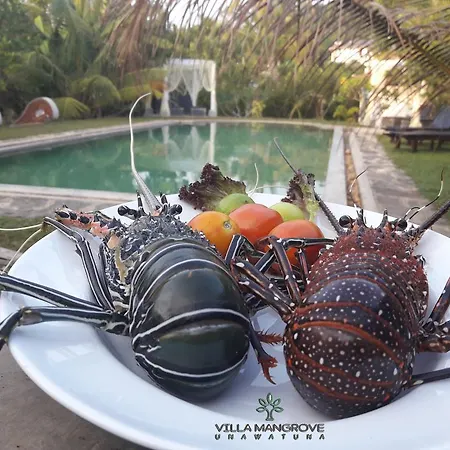 Villa Mangrove-2